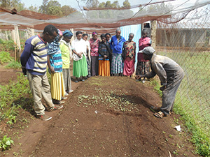 ethiopia update garden
